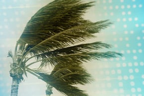 How Communications, Preparation and Willingness to Help Were Keys in Hurricane Crises