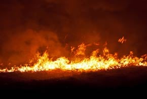 New Catalysts Driving Disaster Recovery Initiatives