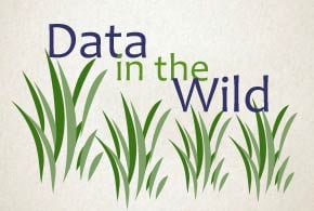 Data at Risk: Super Scary Facts