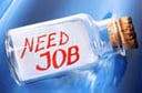 Five Job Search Do’s And Don’ts