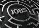 Pay Attention to These Top 10 Job Search Trends