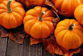 November Patch Tuesday Addresses IE But Leaves Out Microsoft Word Vulnerability