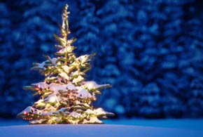 Little Holiday Joy This Patch Tuesday