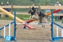 The Benefits of Adopting an ‘Agile-ish (Scrum)’ Philosophy