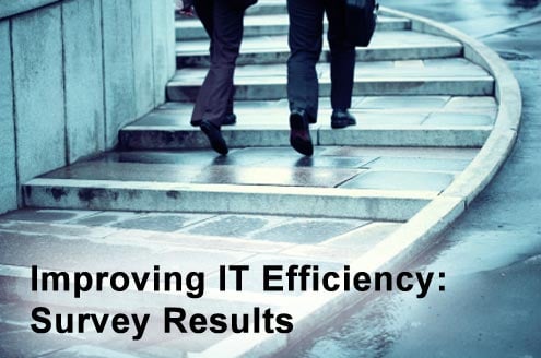 Improving IT Efficiency in a Virtual World