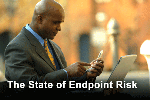 The Cost of Insecurity