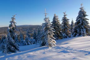 Light Start to 2014 Patch Tuesday, from Microsoft Anyway