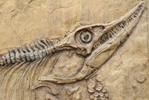 Ten IT Skills on the Brink of Extinction