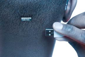 Wearable Computing: Creativity from Head to Toe