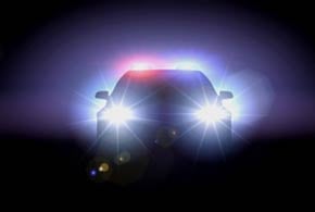 Cyber Crime: Law Enforcement Fights Back