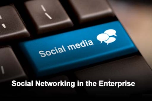 Gauging the Acceptance of Social Networking in the Enterprise